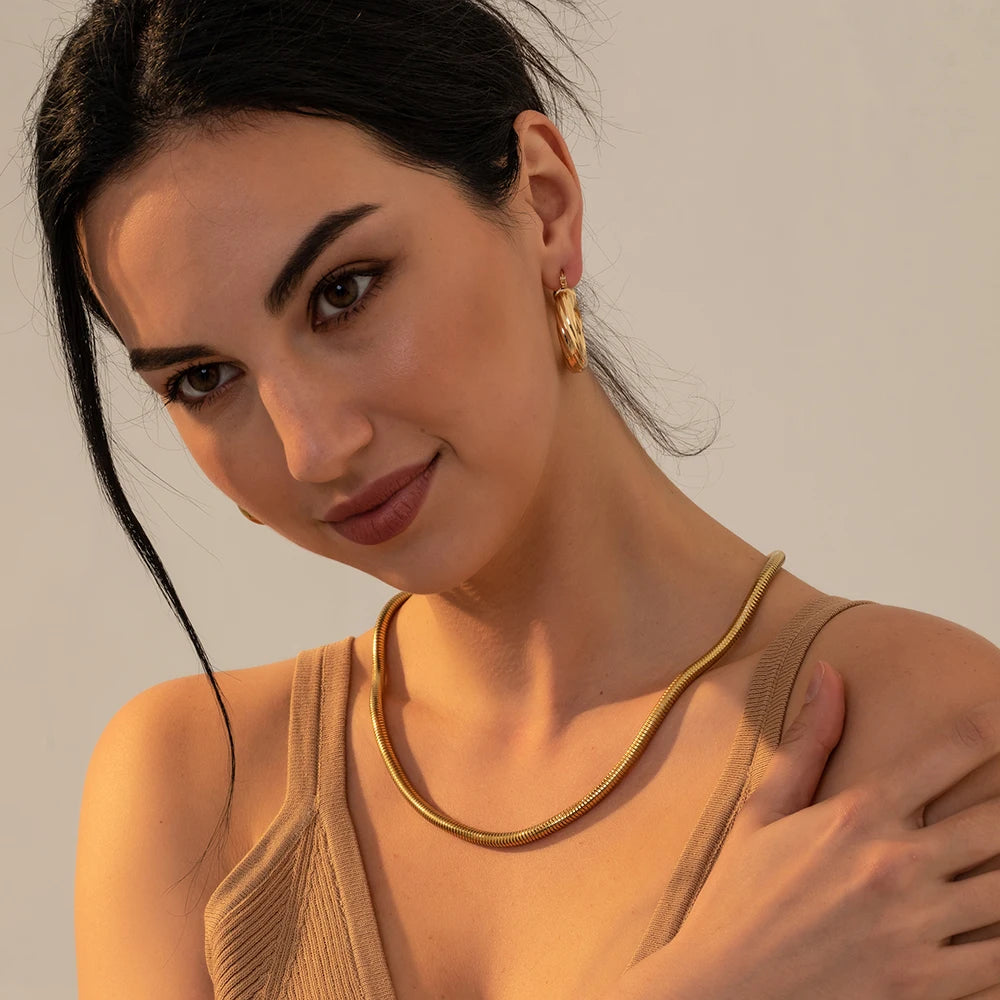 Cadena Snake Bold, Cadena Gruesa, Acero Inoxidable,